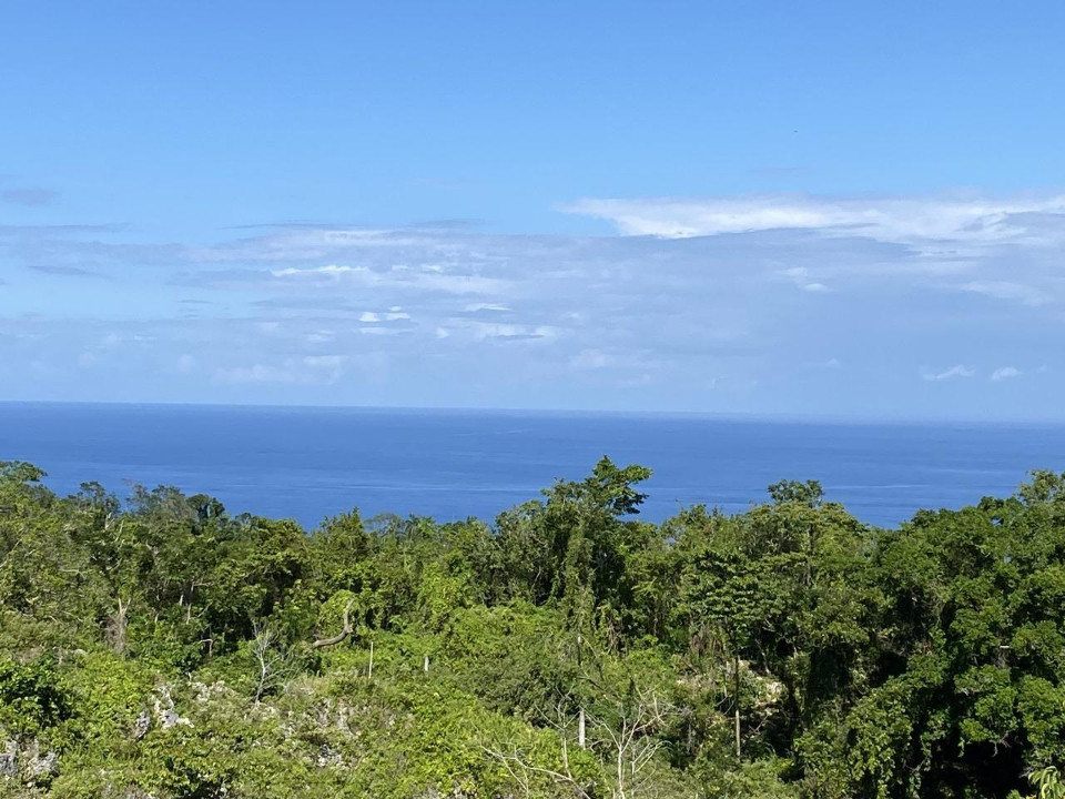 Property view 7