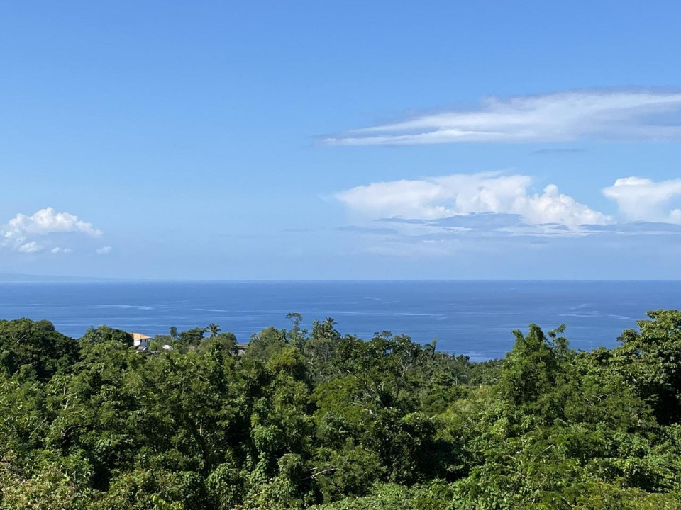 Property view 6