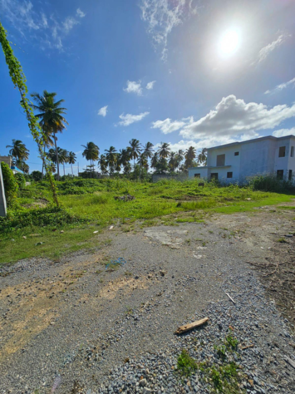 Property view 6