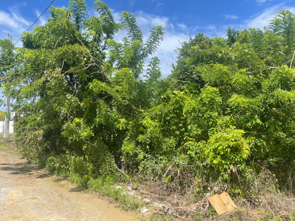 Property view 2