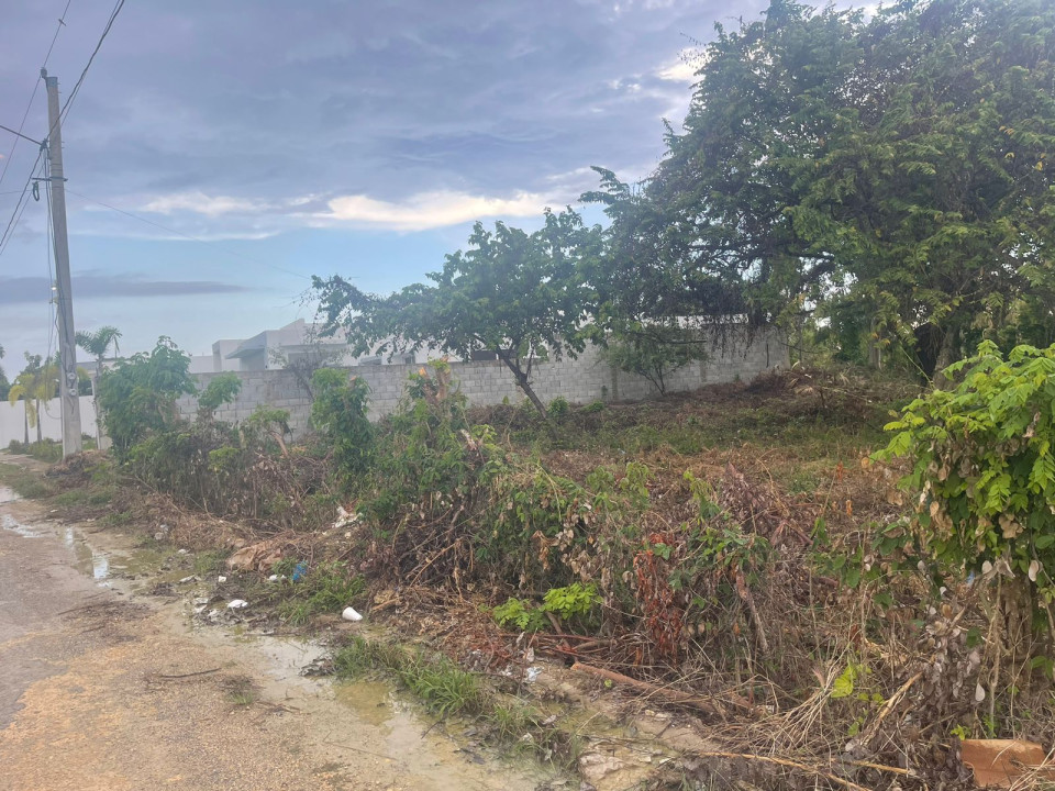 Property view 3