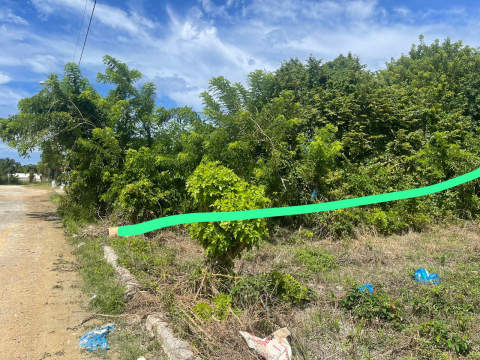 Property view 4