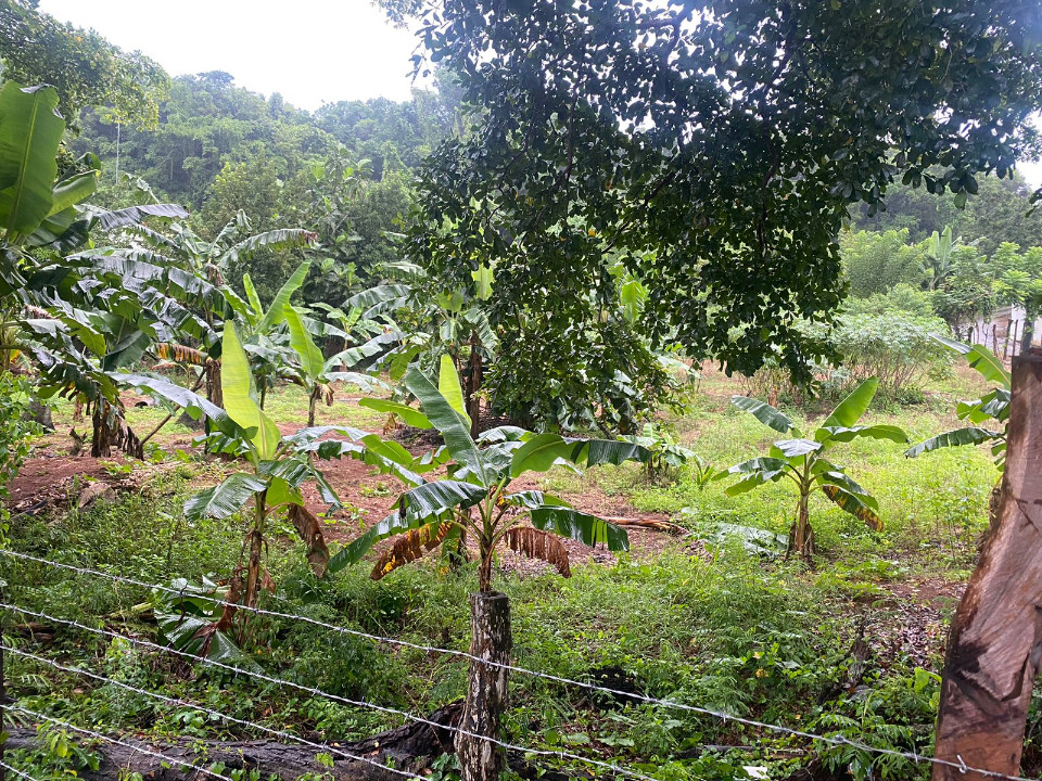 Property view 2