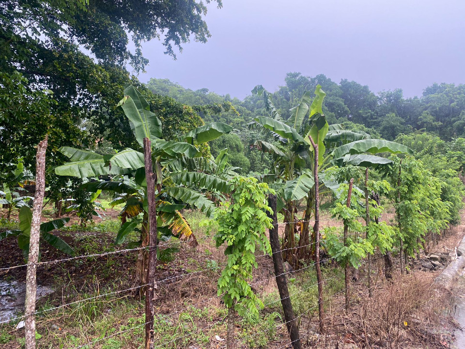 Property view 4