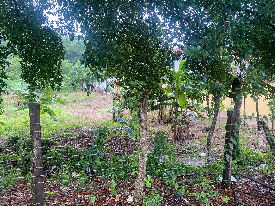 Property view 3