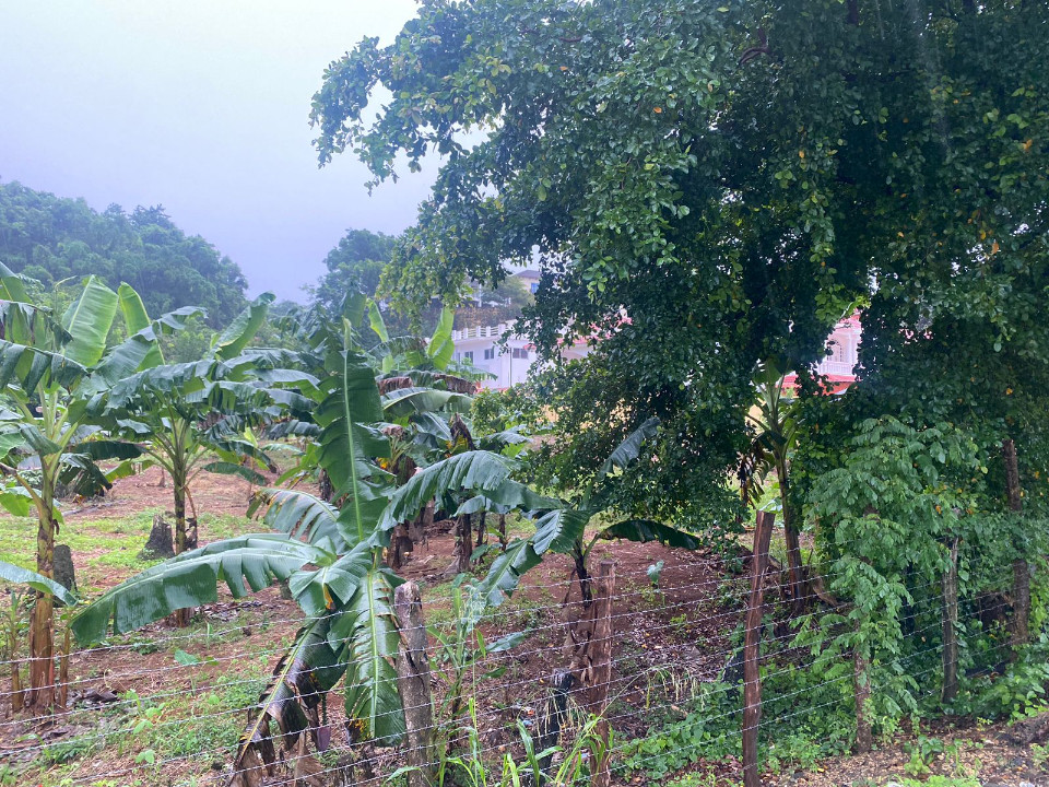 Property view 7