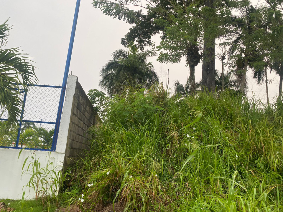 Property view 2