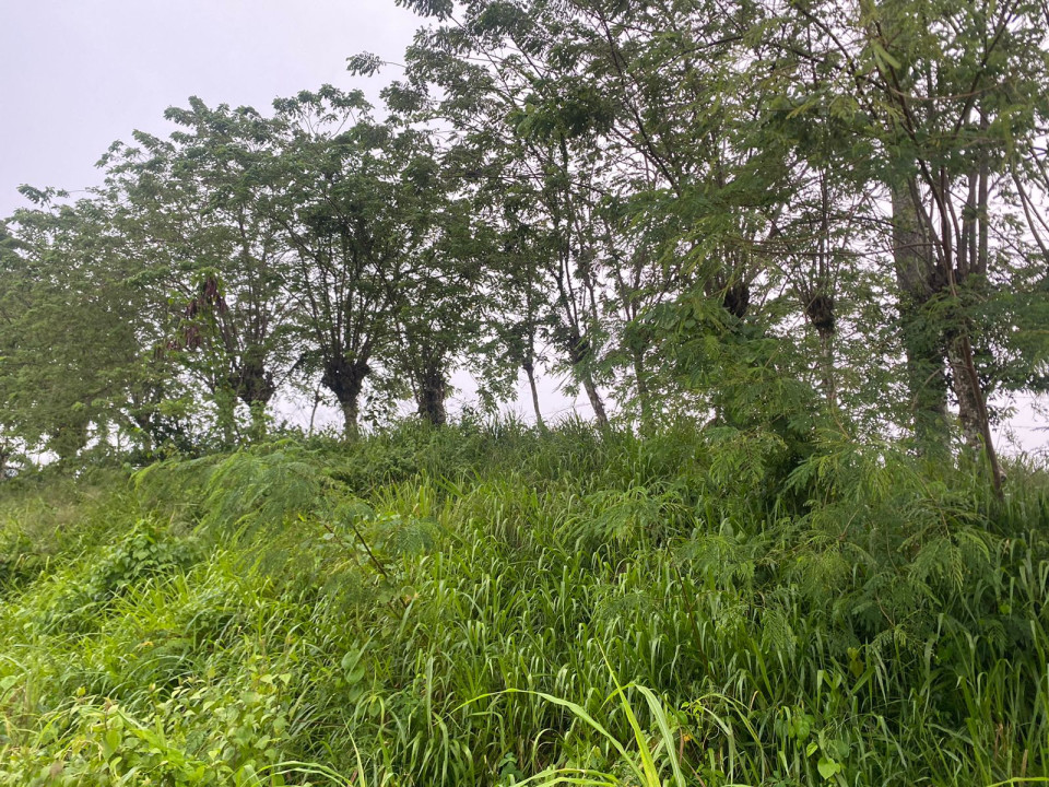 Property view 3