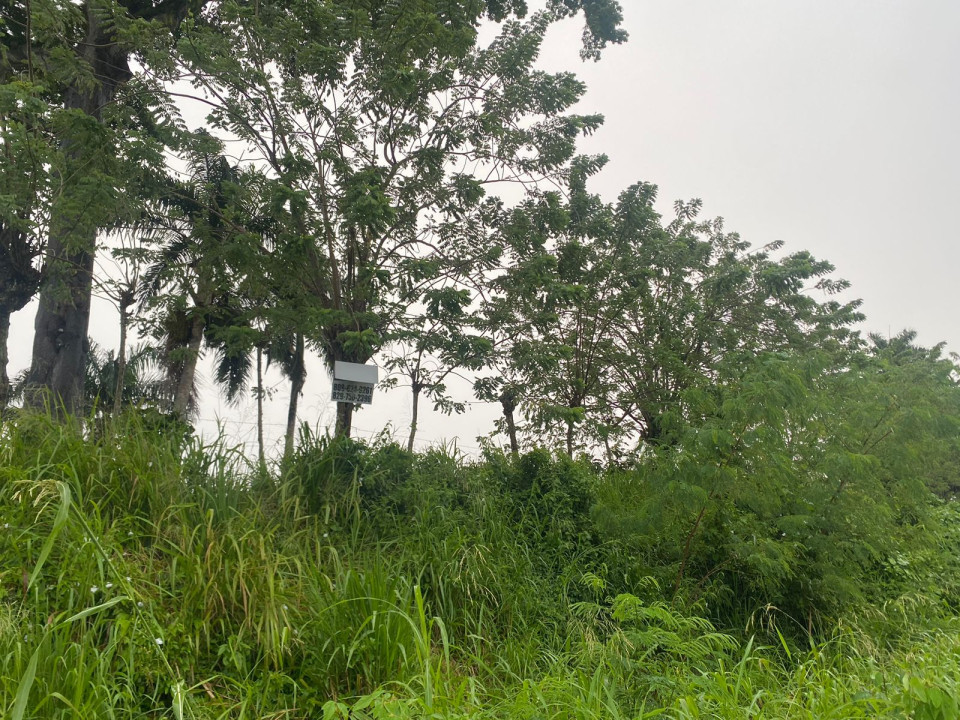 Property view 4