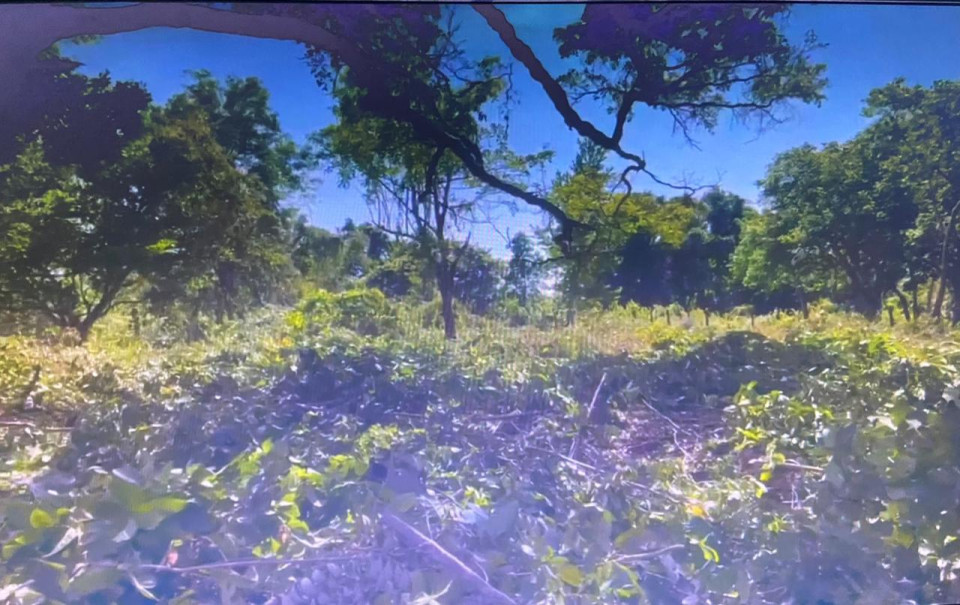 Property view 2
