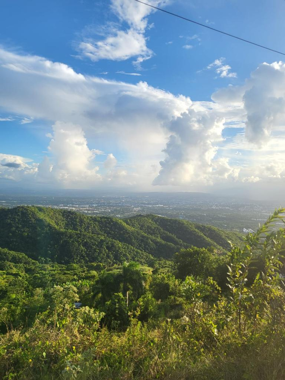 Property view 2