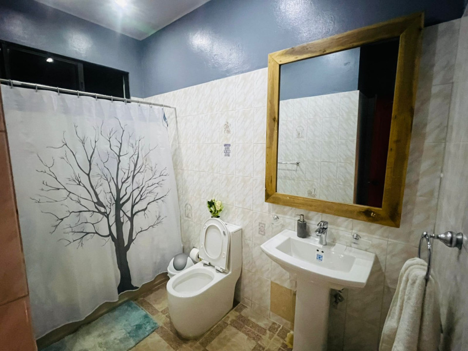 Property view 12