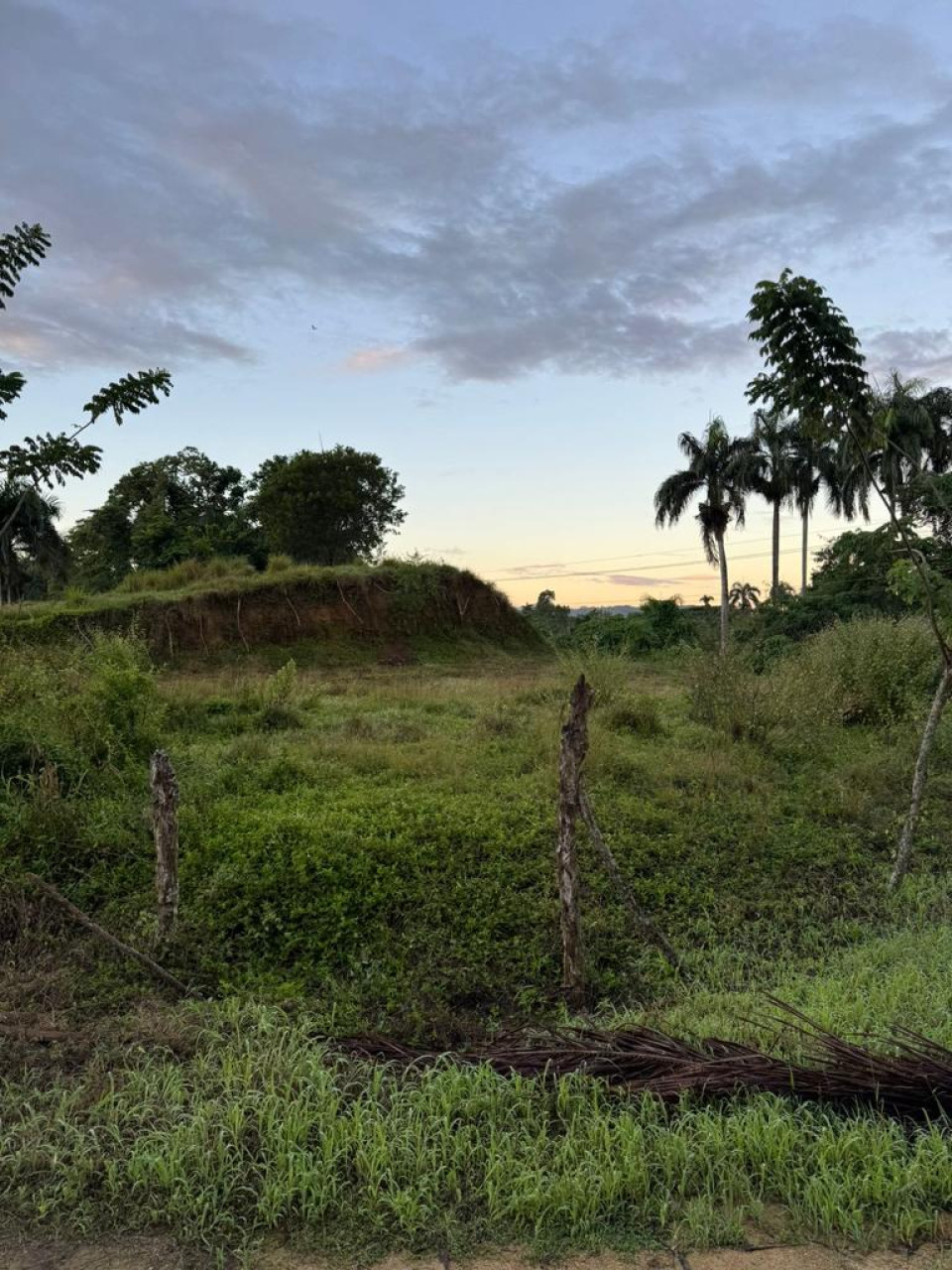 Property view 2