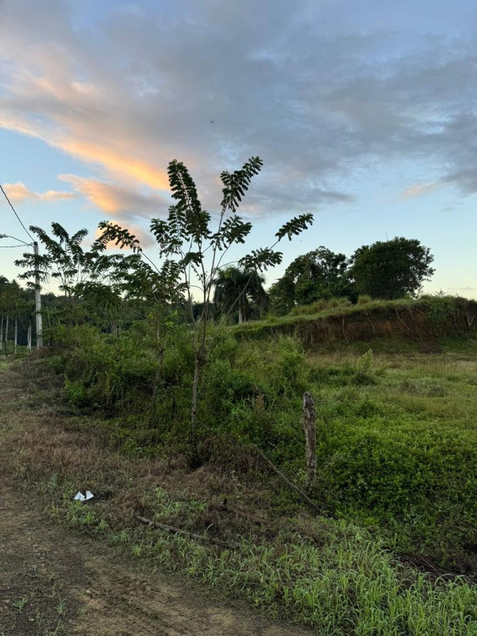 Property view 4