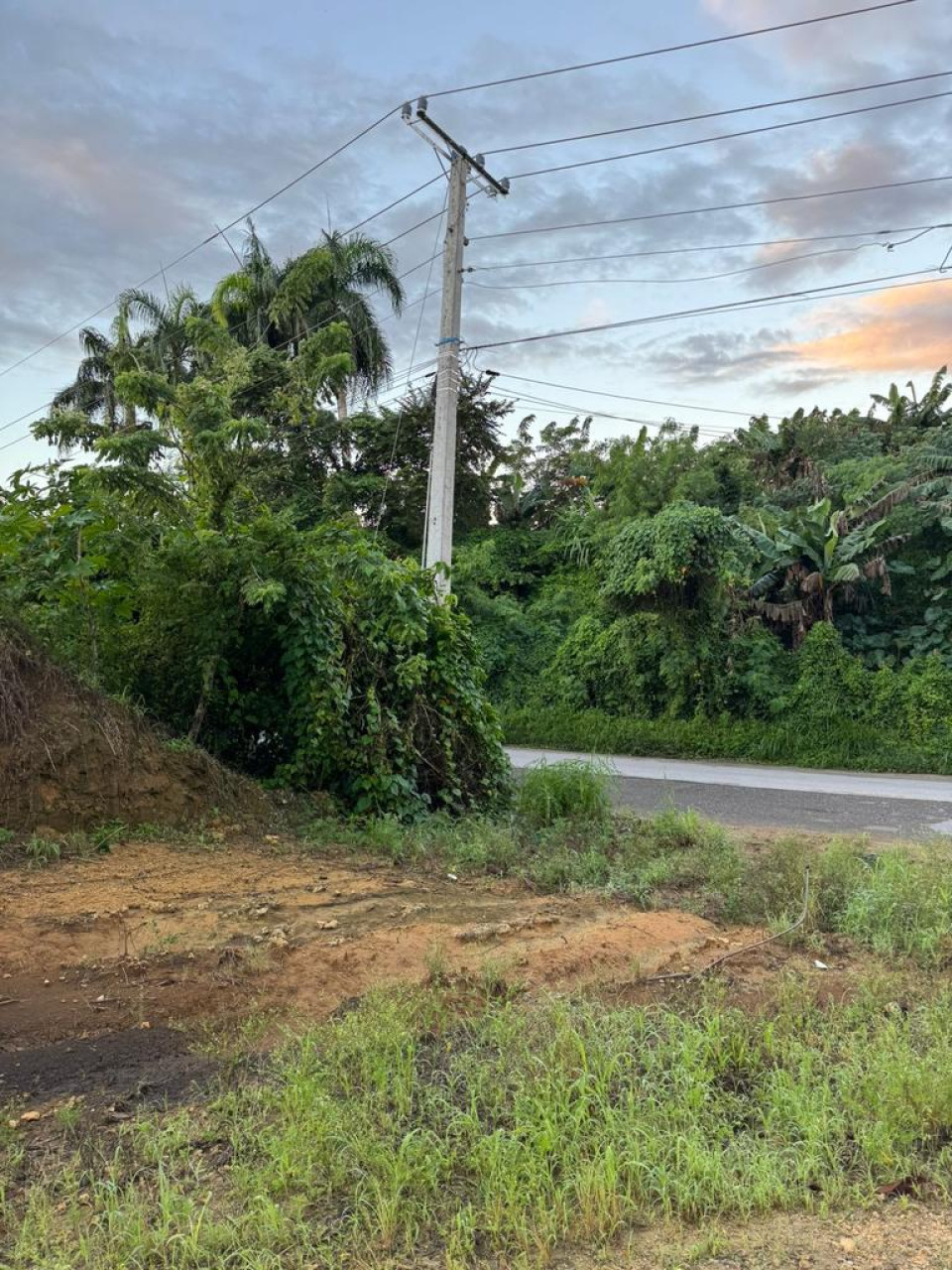 Property view 5