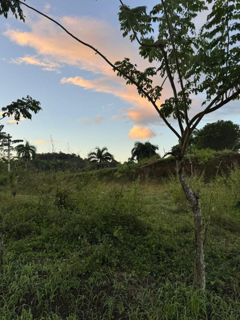 Property view 7
