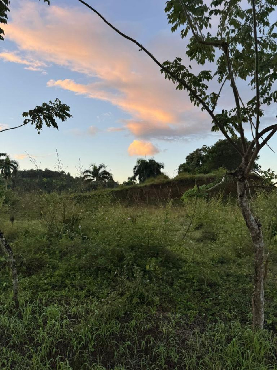 Property view 8