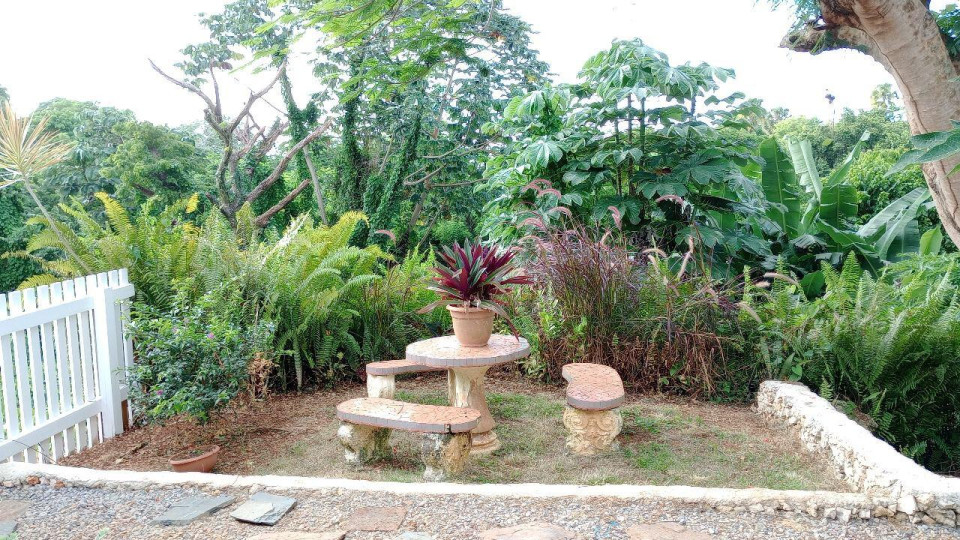 Property view 12