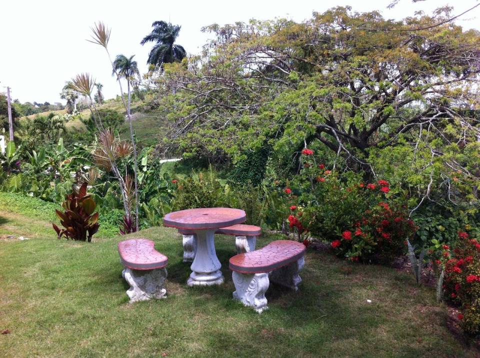 Property view 16