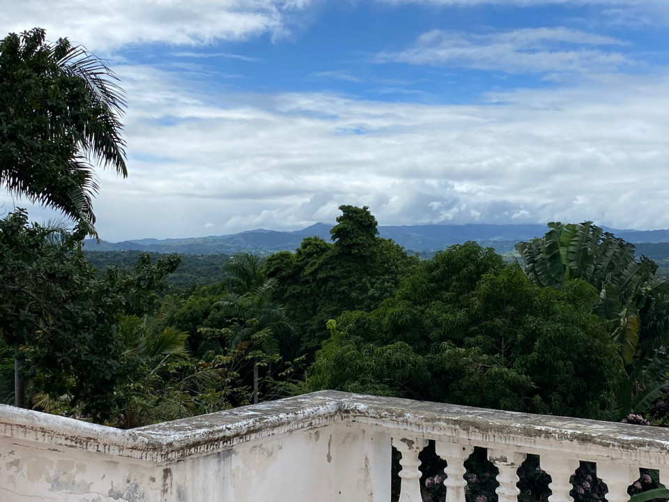 Property view 16