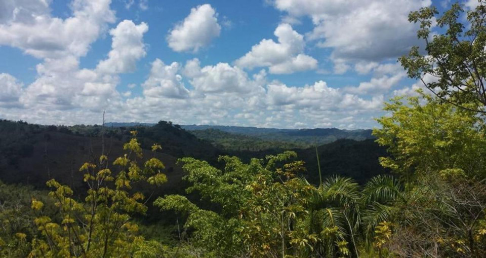 Property view 4