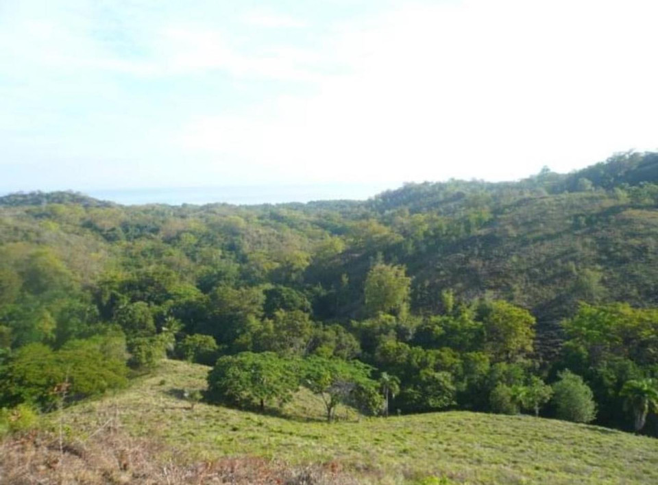 Property view 5