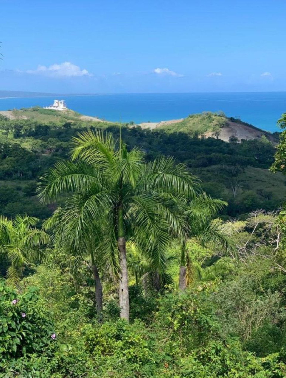 Property view 7