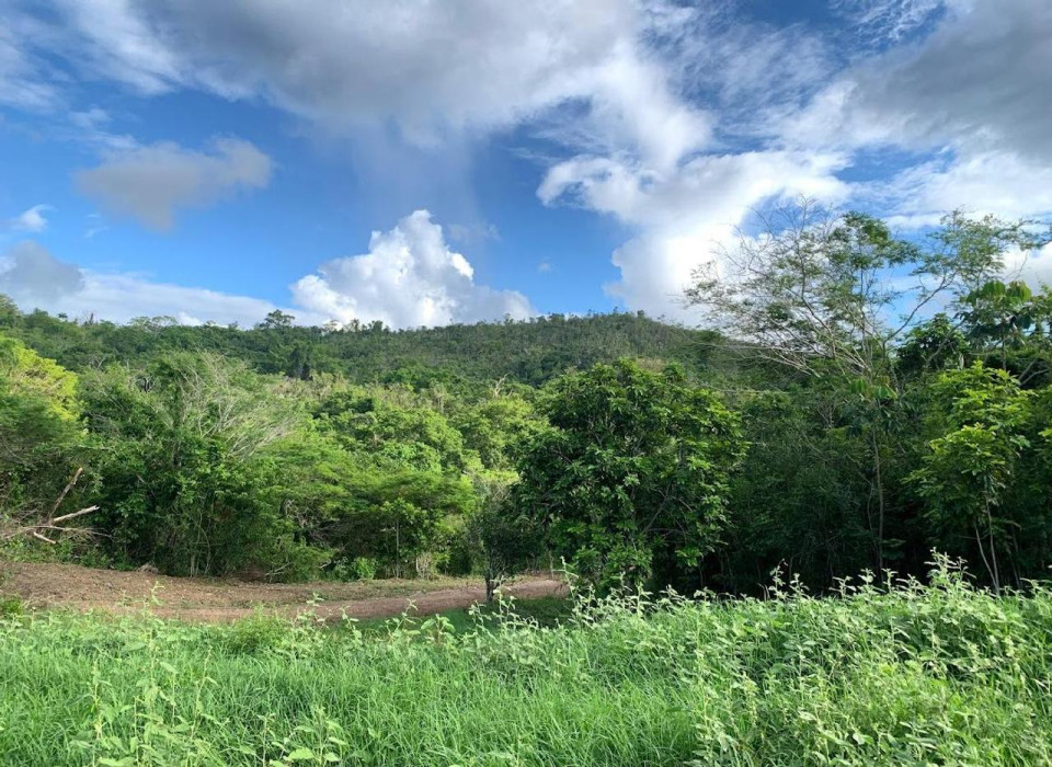 Property view 6
