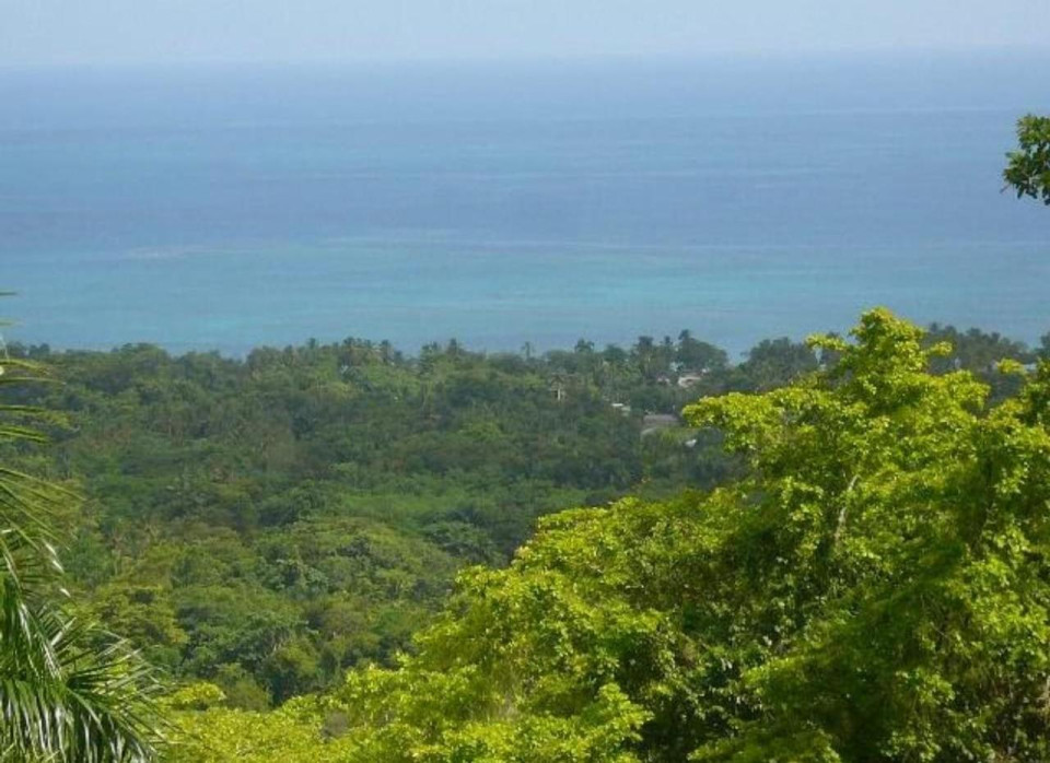 Property view 9