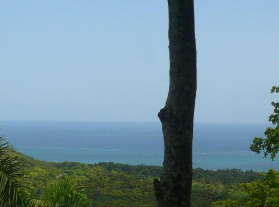 Property view 10
