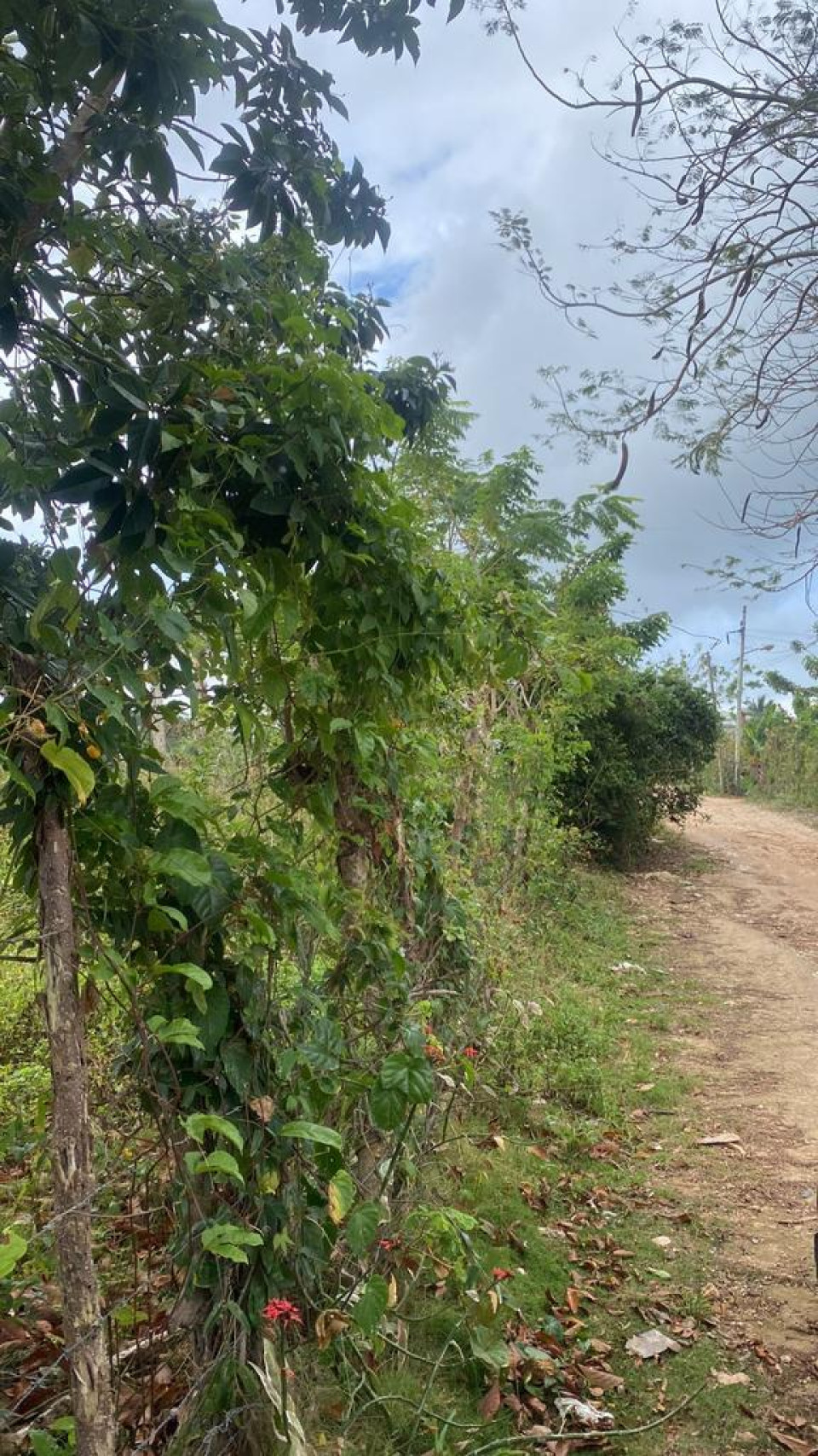 Property view 2