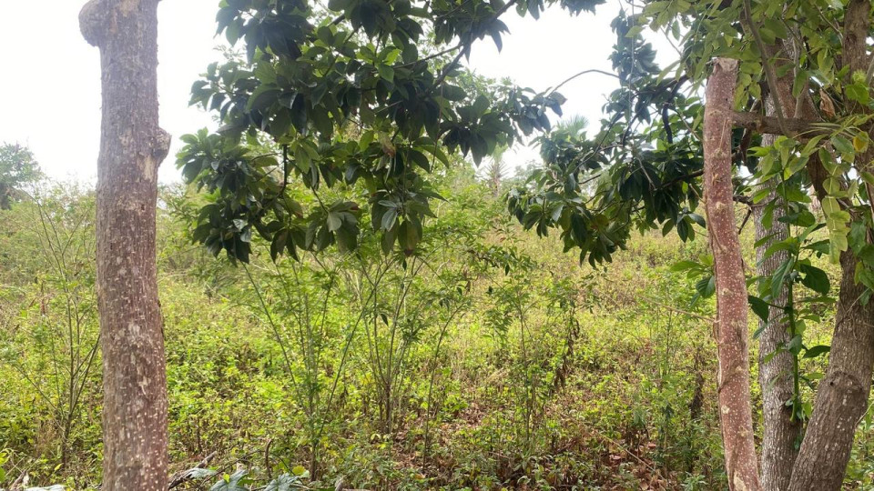 Property view 3