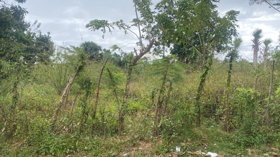 Property view 4