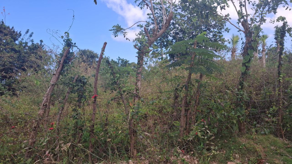 Property view 5