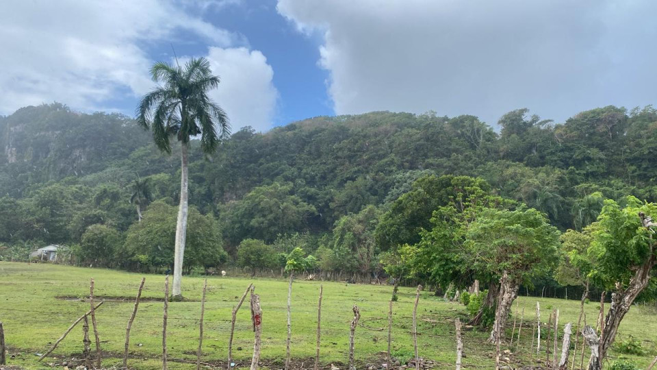 Property view 3