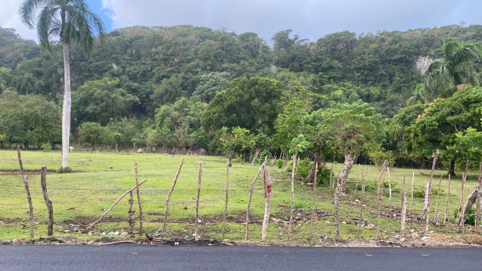 Property view 5