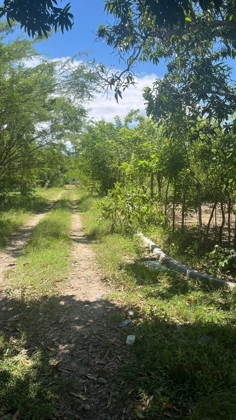 Property view 1