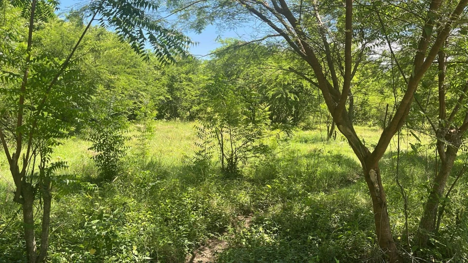 Property view 2