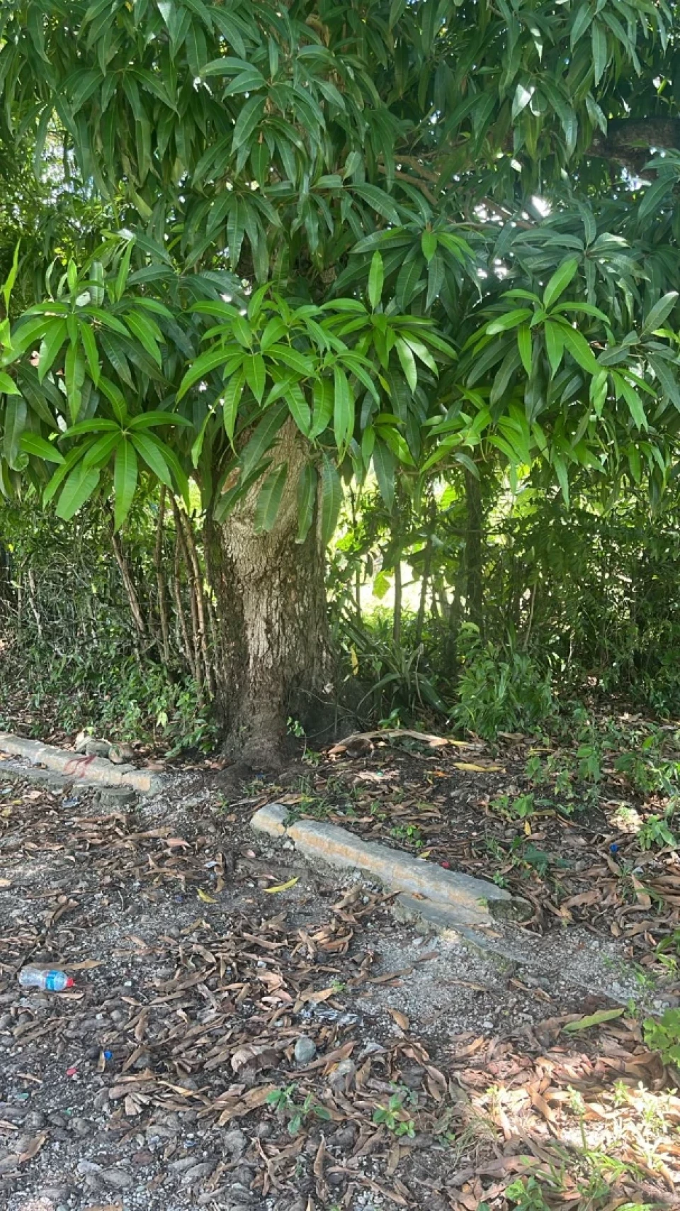 Property view 3