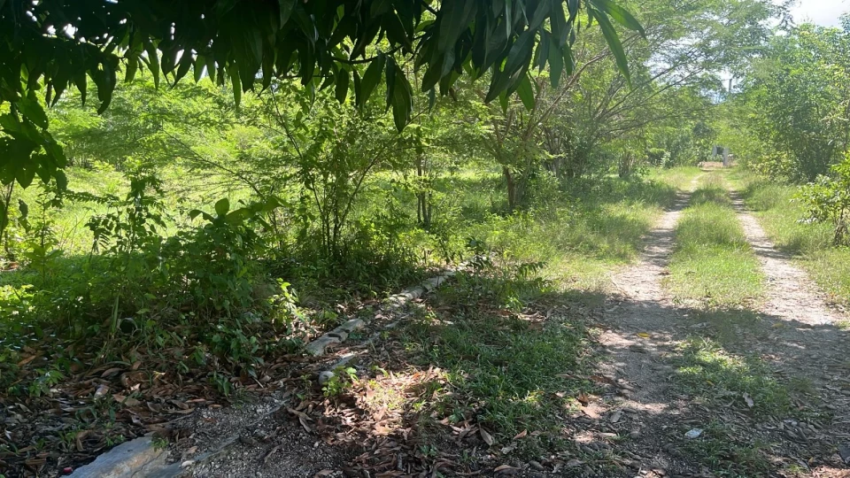 Property view 4