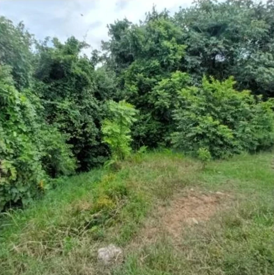 Property view 1