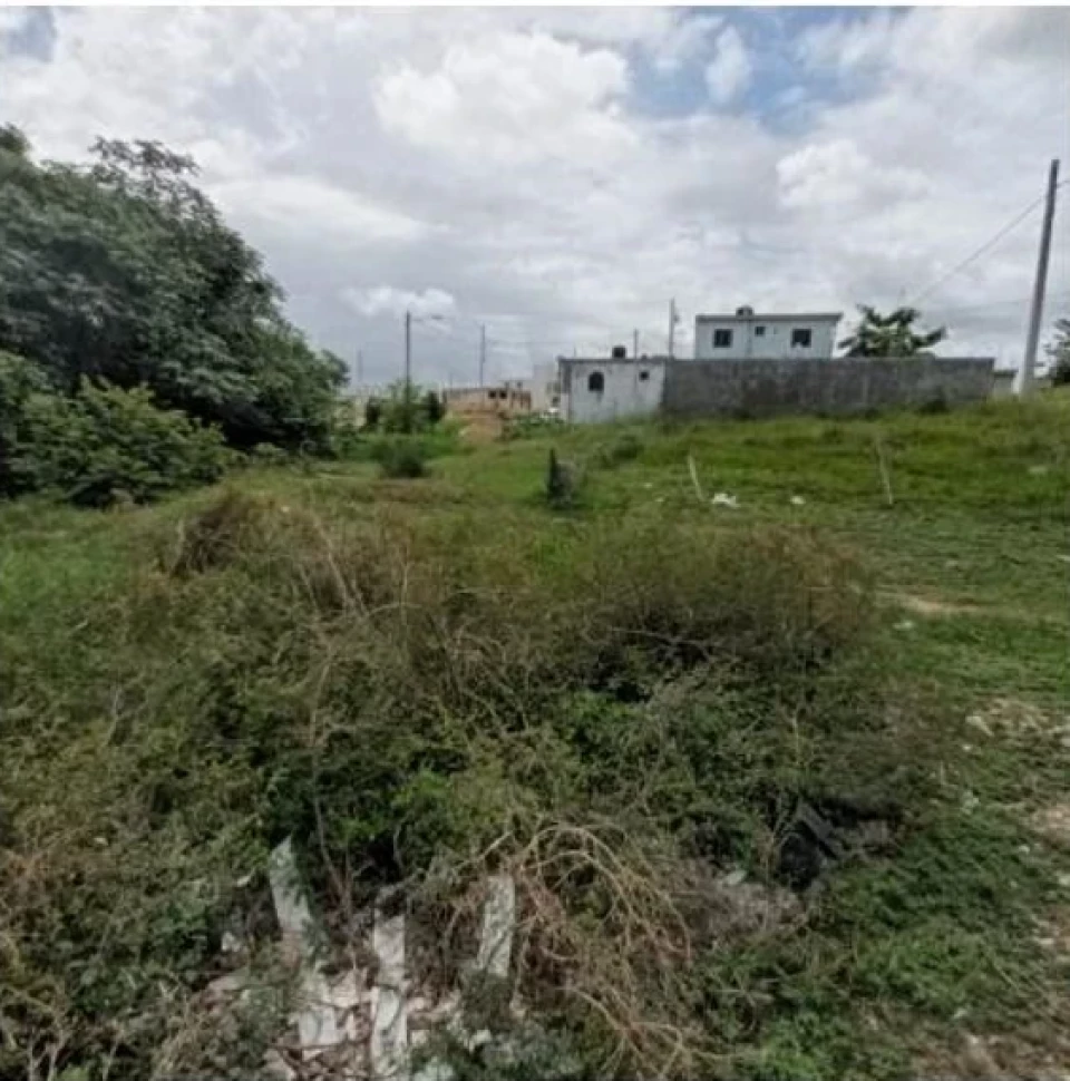 Property view 2