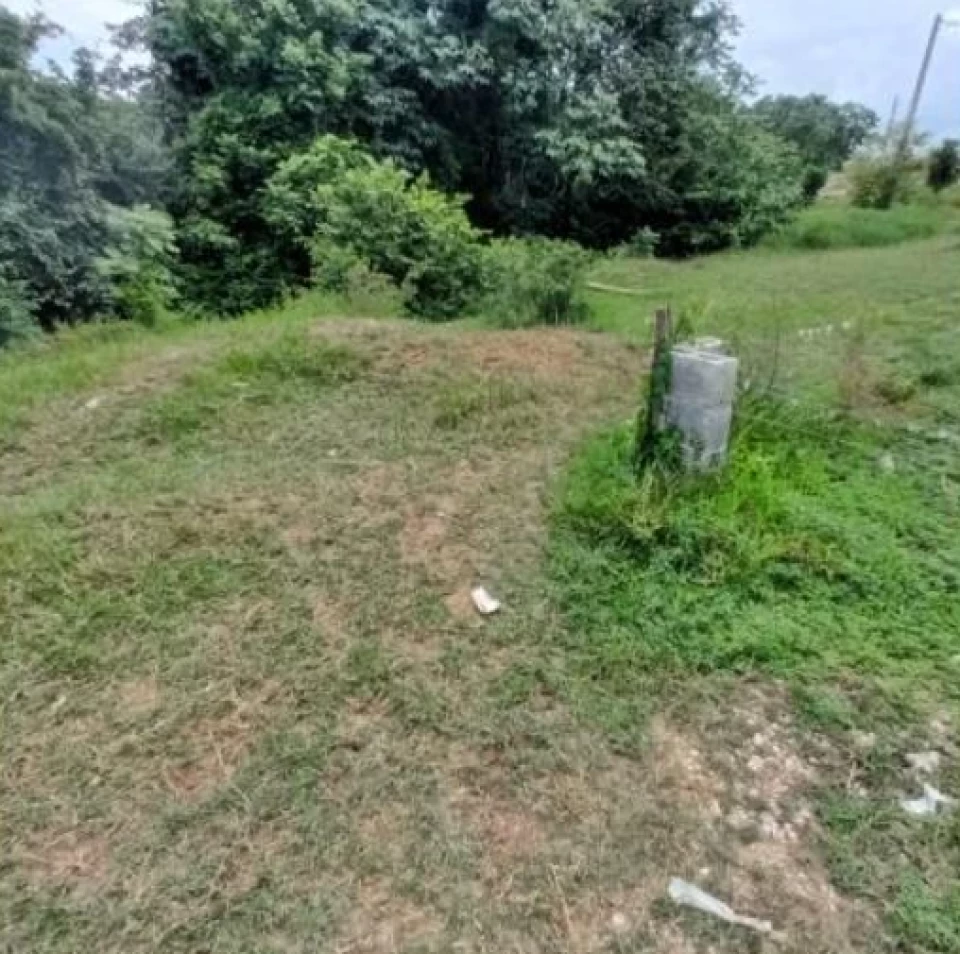 Property view 3