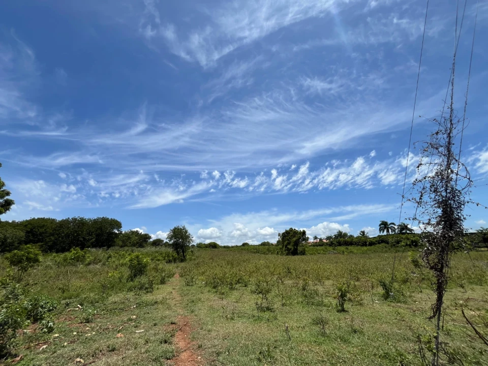 Property view 2