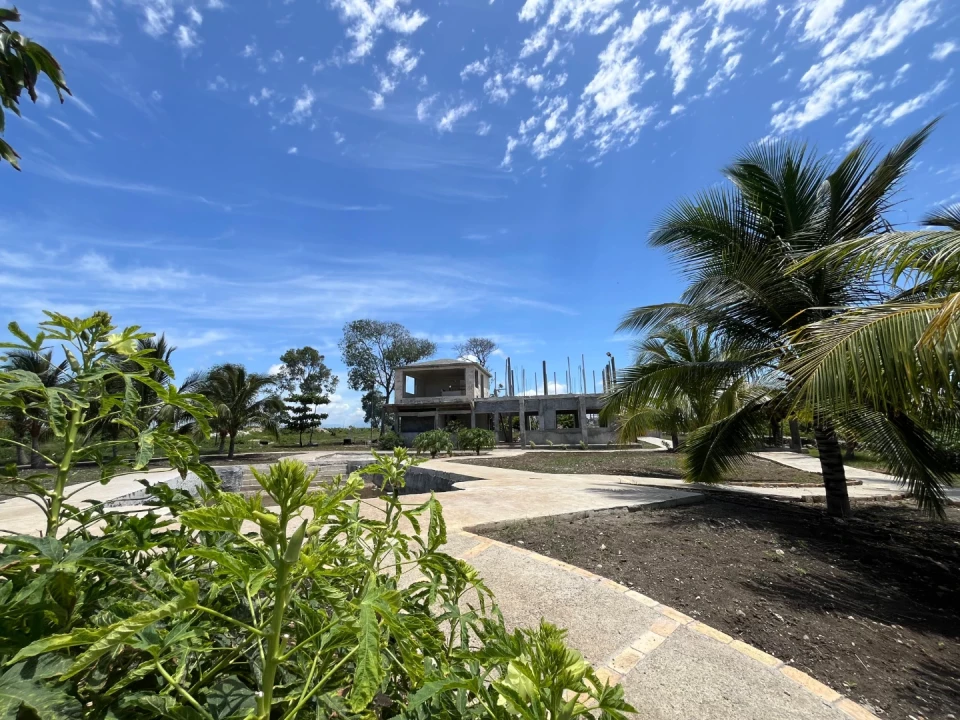 Property view 7