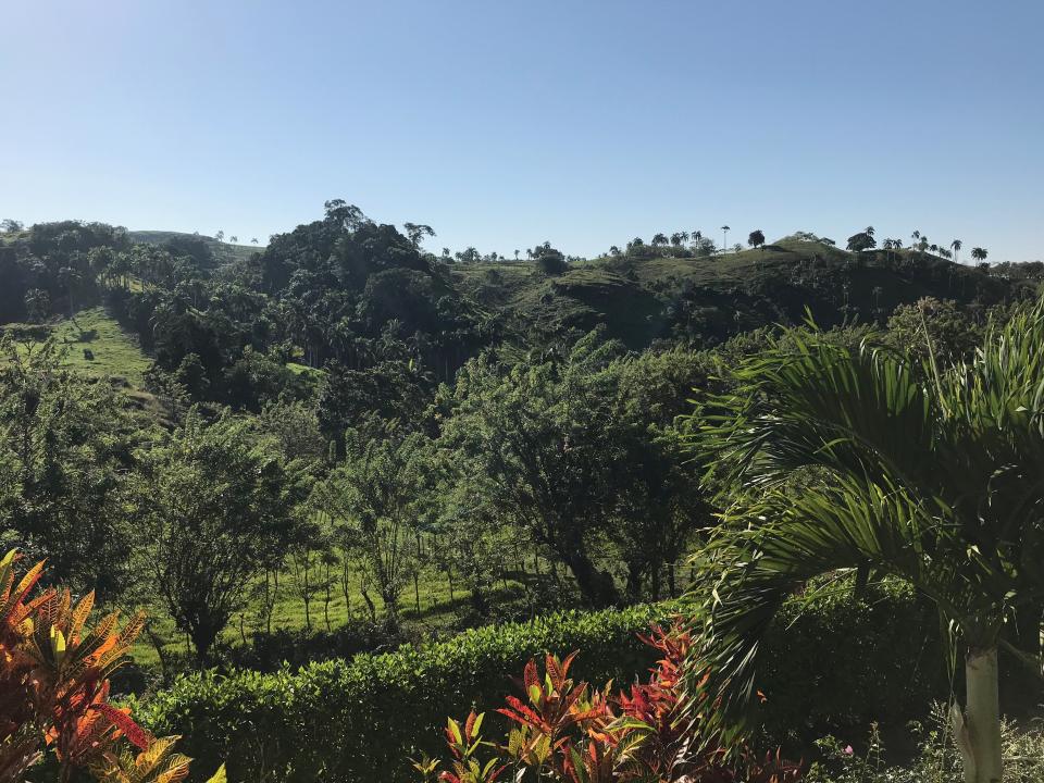 Property view 3