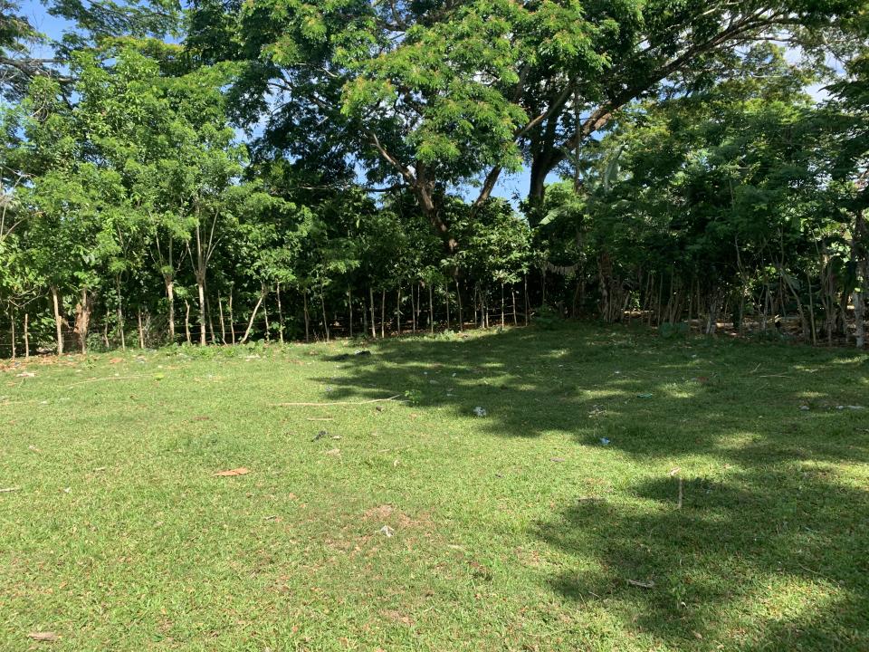 Property view 5