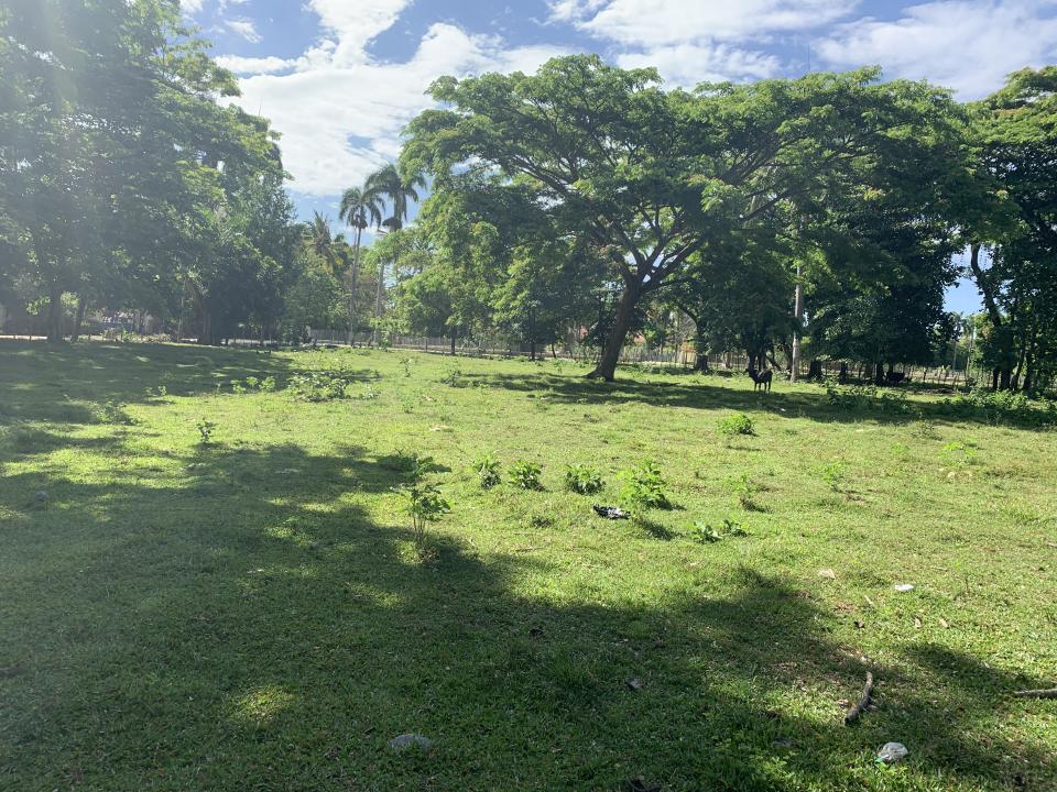 Property view 6