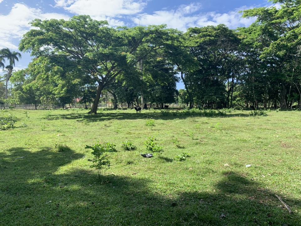 Property view 7