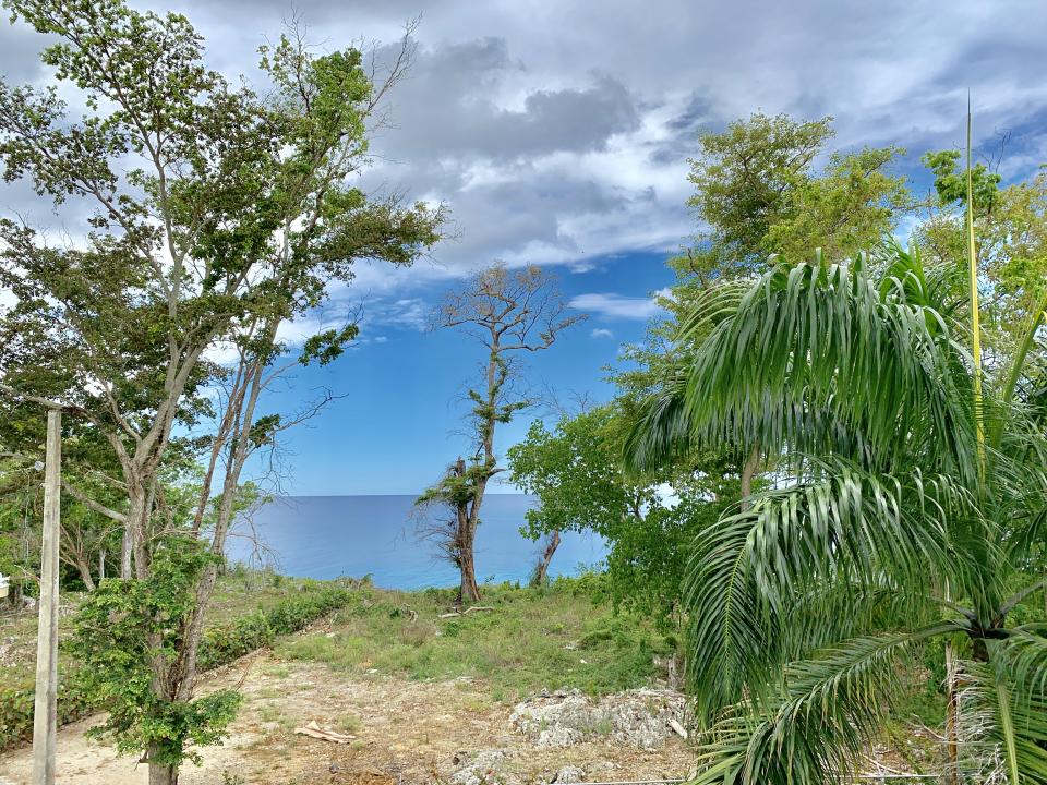 Property view 78